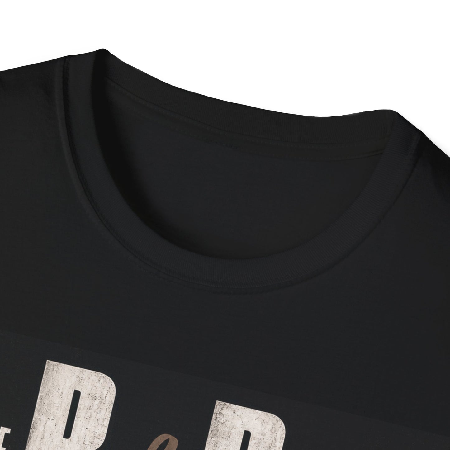 Chris Brown & Usher Unisex Softstyle T-Shirt