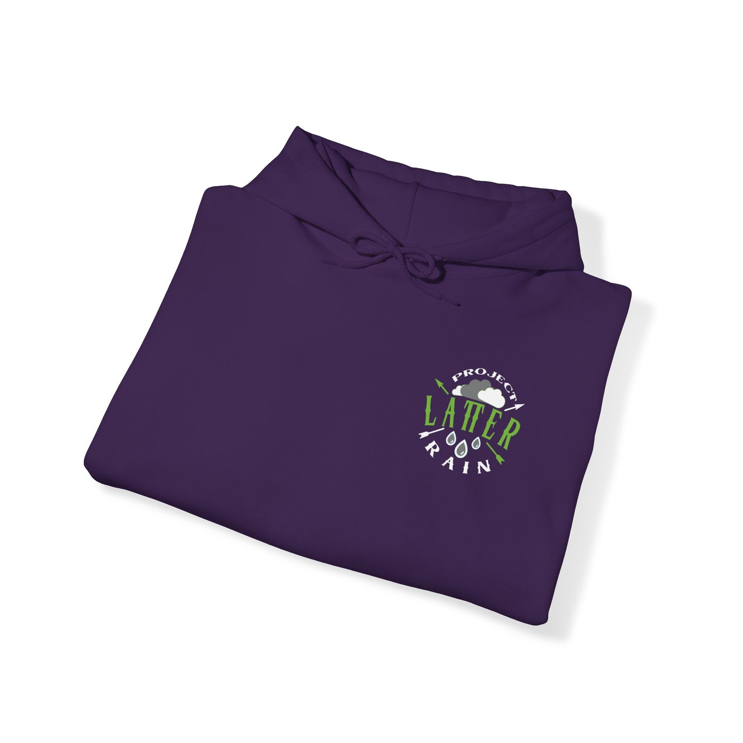 Mark of the Beast™ Hooded Sweatshirt
