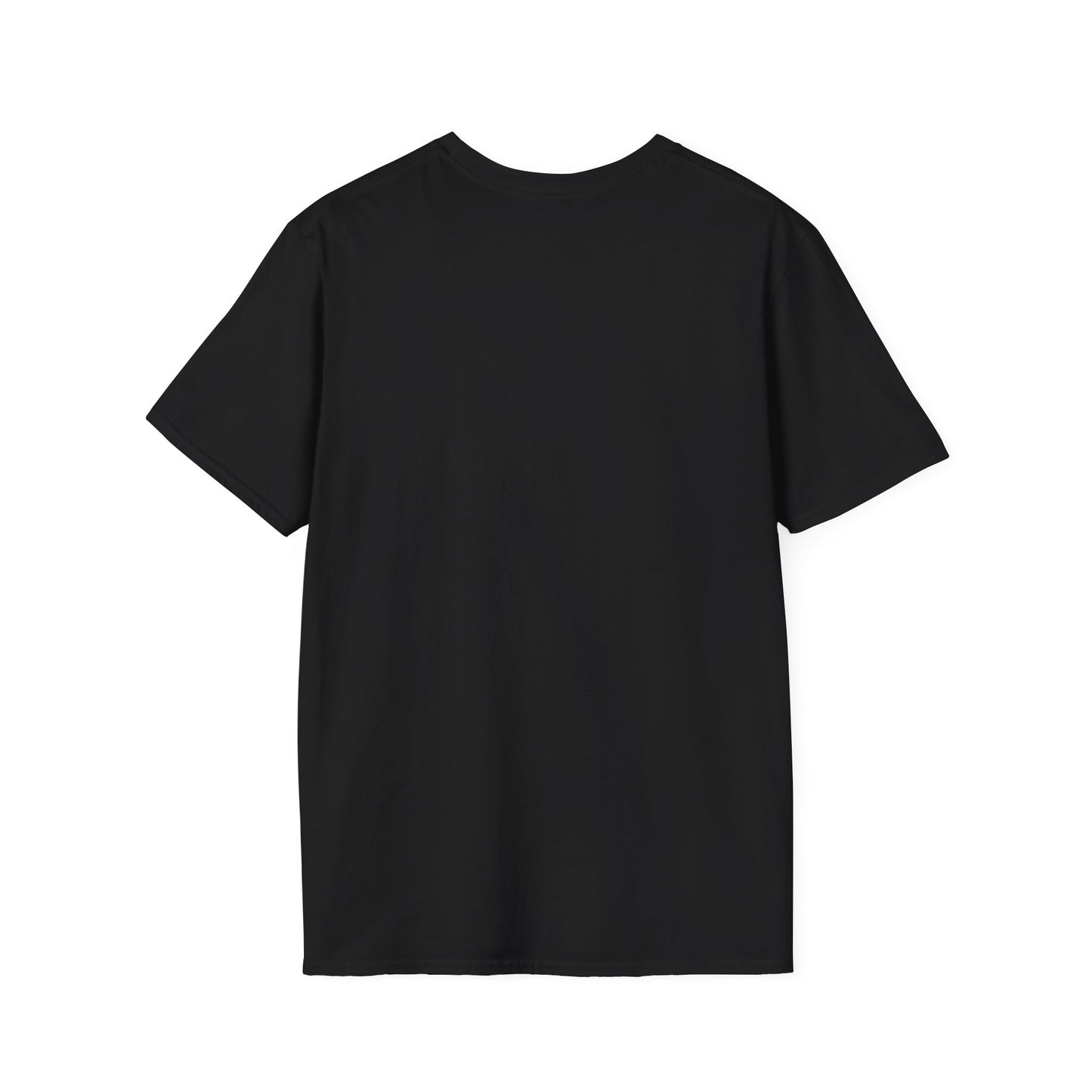 Chris Brown & Usher Unisex Softstyle T-Shirt